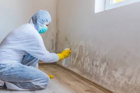 Mold Remediation for Rental Properties in Bothell, WA