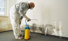 Mold Removal for HVAC Installations in Bothell, WA