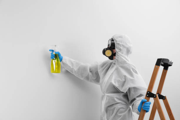 Environmental Consulting for Mold Prevention in Bothell, WA